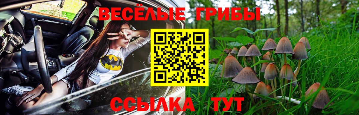 Галлюциногенные грибы прущие грибы Трёхгорный
